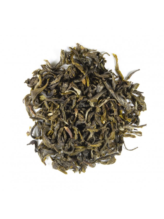 Mao JIan  Jasmin BIO