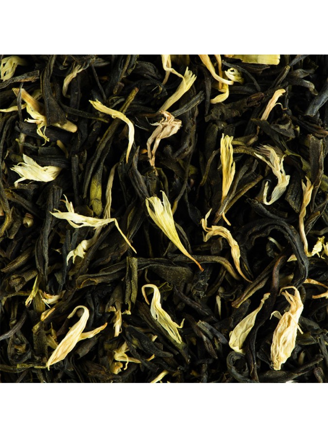 Green Lord (Nilgiri en Inde)