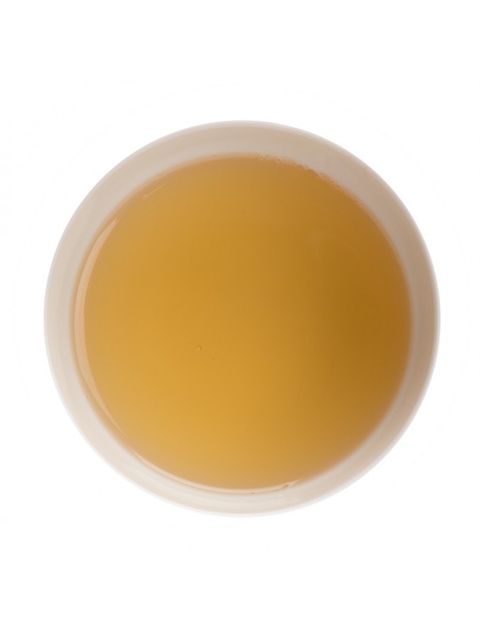 Green Lord (Nilgiri en Inde)