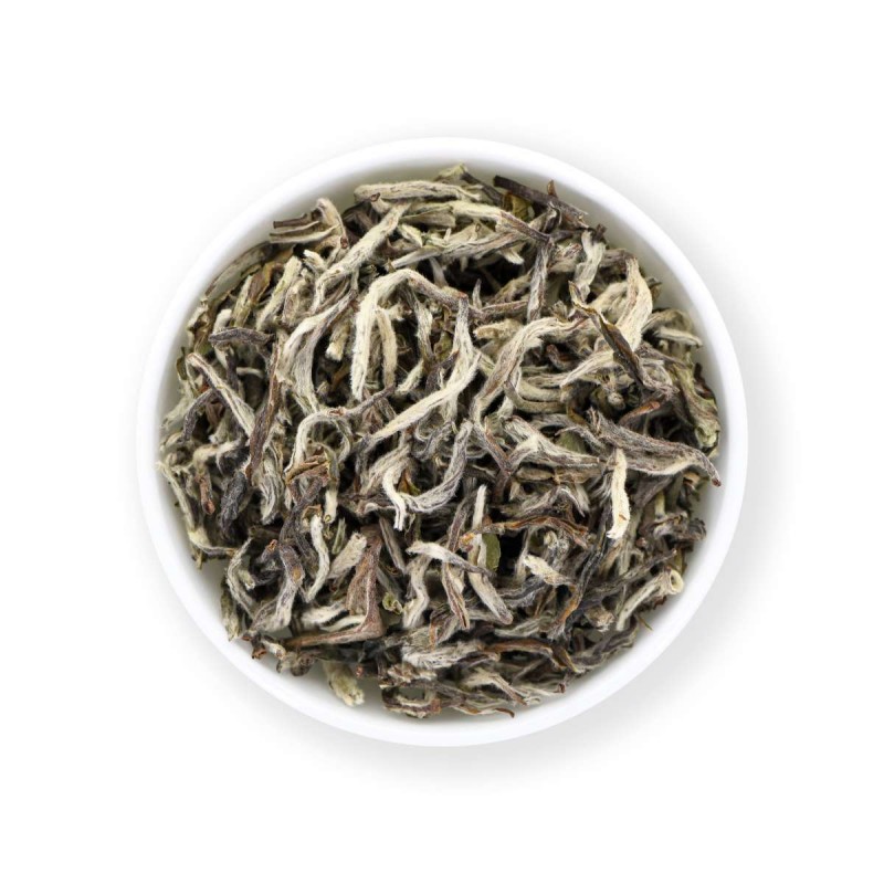 Shangrila Népal SFTGFOP1 FF
