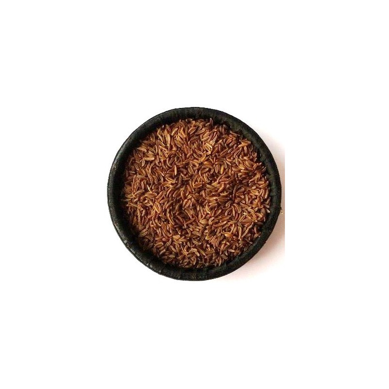 Carvi (Cumin des Prés)
