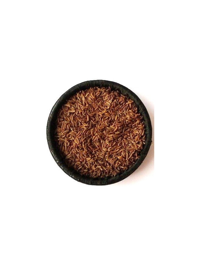 Carvi (Cumin des Prés)